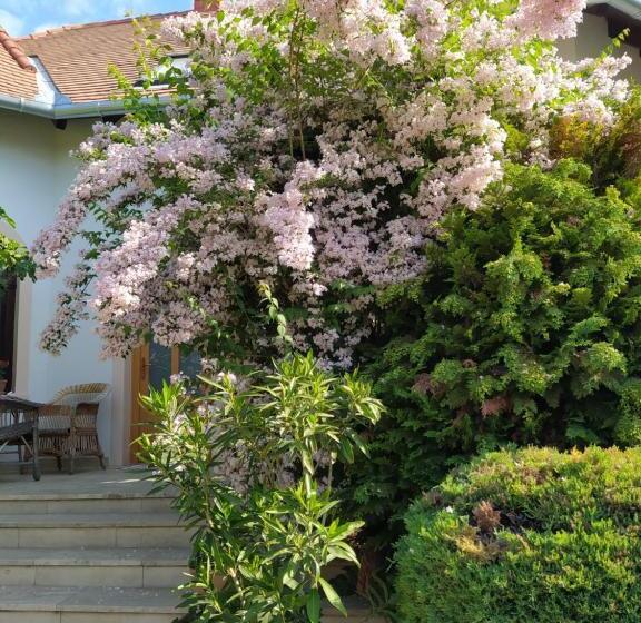 Pensjonat Frutta Villa