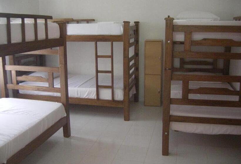 ペンション Hostal Palohe Taganga