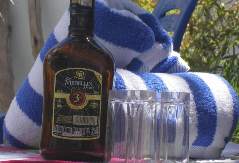 ペンション Hostal Palohe Taganga