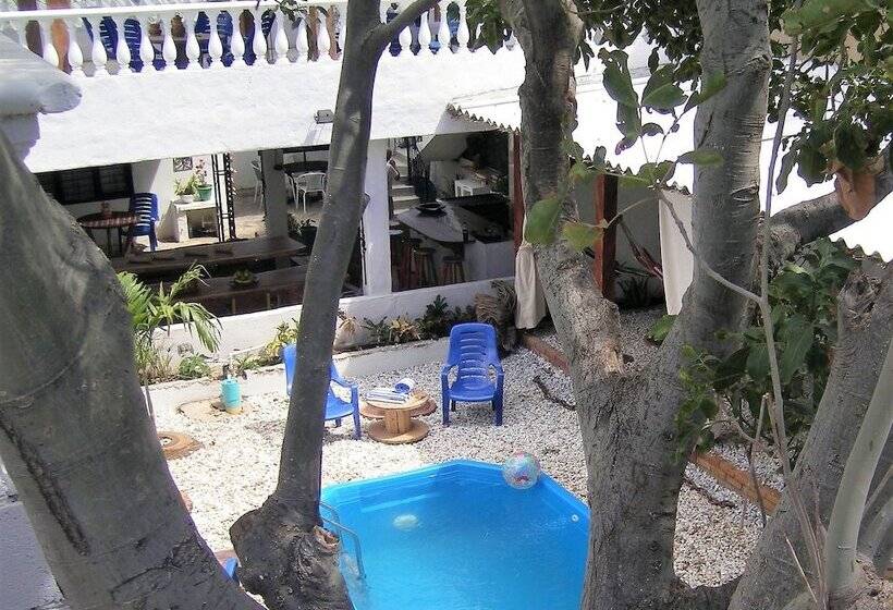 ペンション Hostal Palohe Taganga