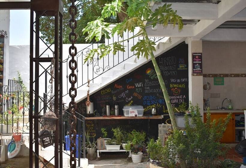 ペンション Hostal Palohe Taganga