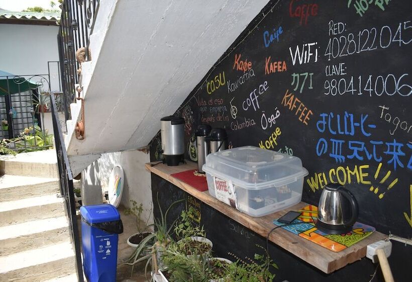 ペンション Hostal Palohe Taganga