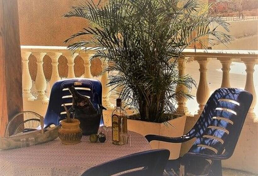 ペンション Hostal Palohe Taganga