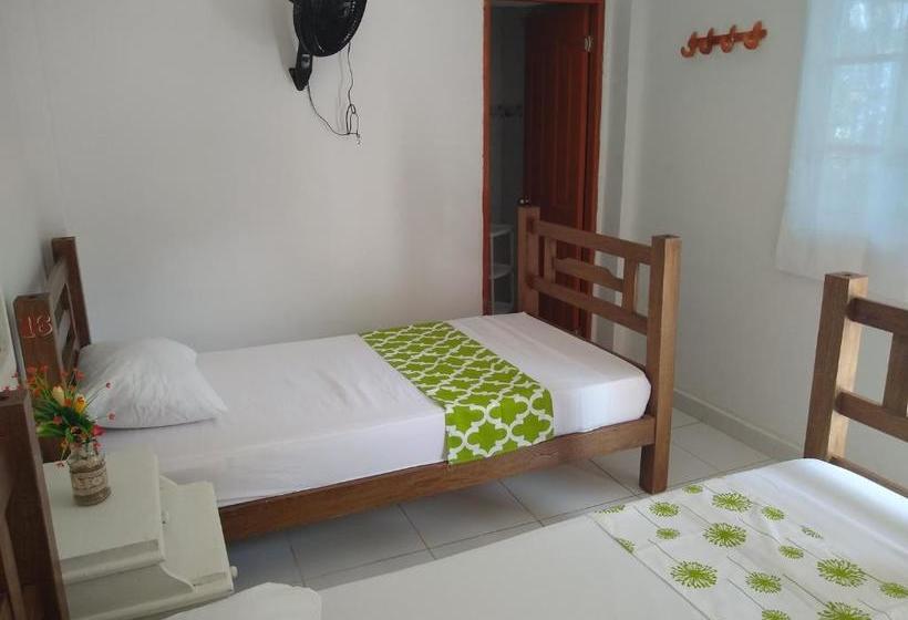 پانسیون Hostal Palohe Taganga