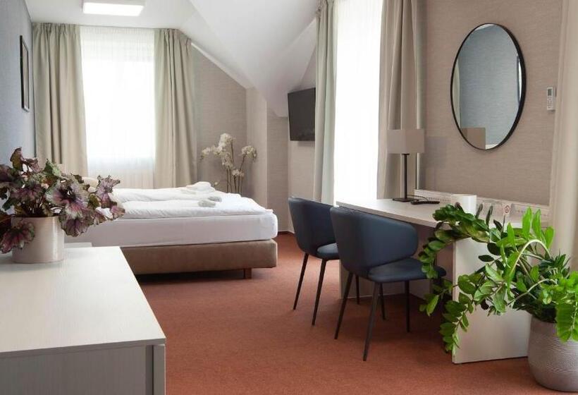 بنسيون Penzion Solid Spa