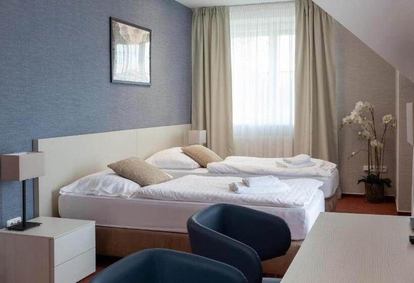 بنسيون Penzion Solid Spa