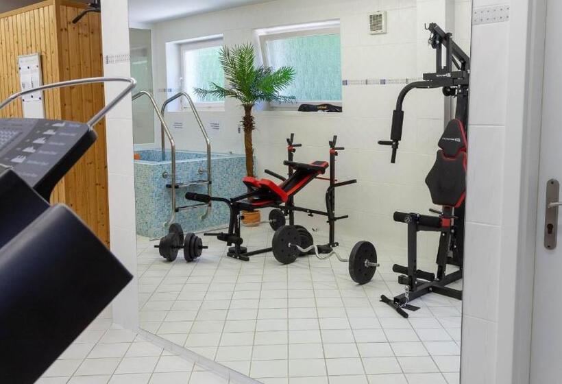 بنسيون Penzion Solid Spa