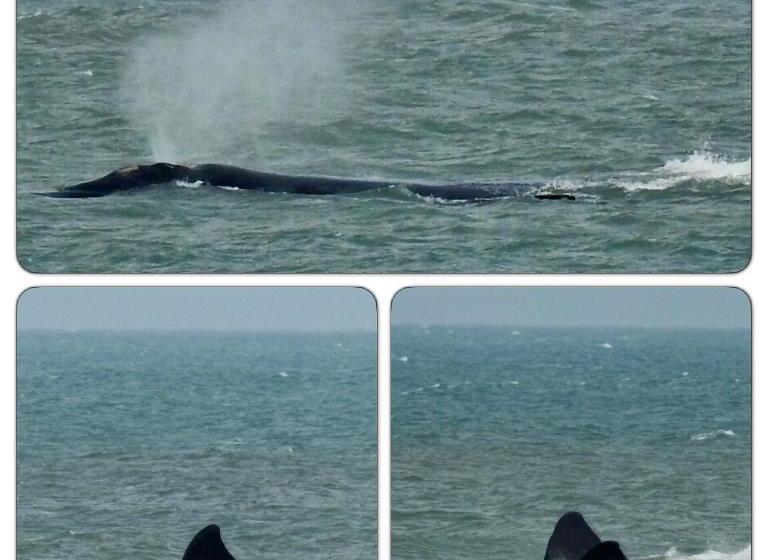 ペンション Pousada Dos Sambaquis