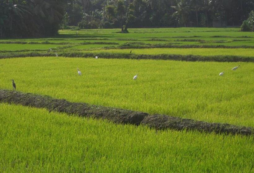 פנסיון Risenlak Holiday Resort