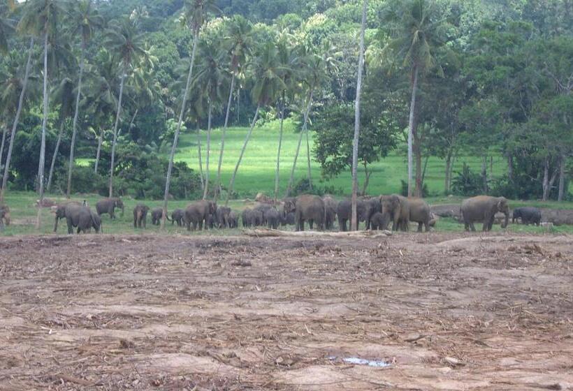 פנסיון Risenlak Holiday Resort