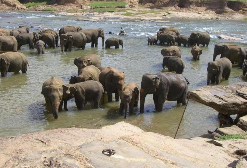 פנסיון Risenlak Holiday Resort