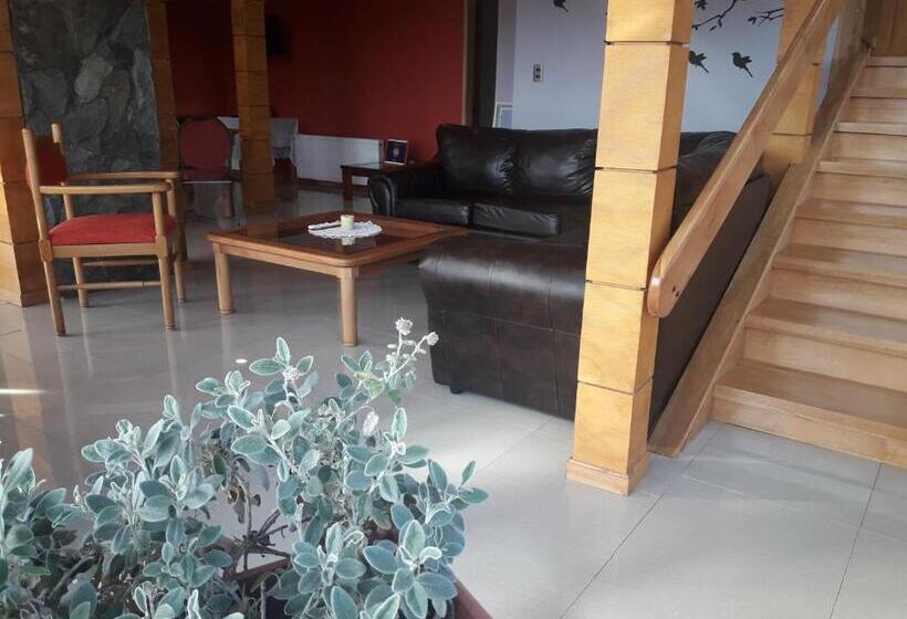 הוסטל Hostal Los Teros