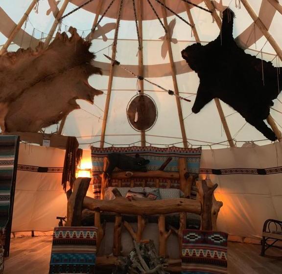 تختخواب و صبحانه Fox Pass Cabins