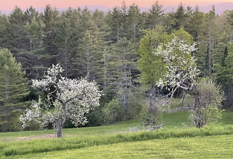 مبيت وإفطار High Hill Inn