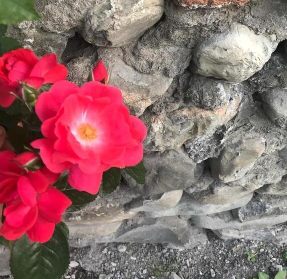 پانسیون Beaming_house