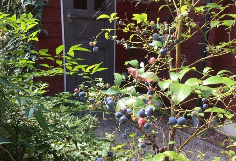 膳宿费 Guest House Chalet Sielu