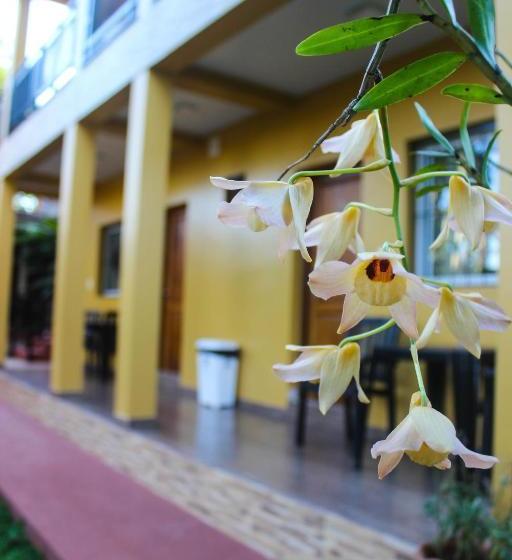 بنسيون Hospedaje Jose Gorgues