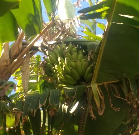 ペンション Hostal Vieroto