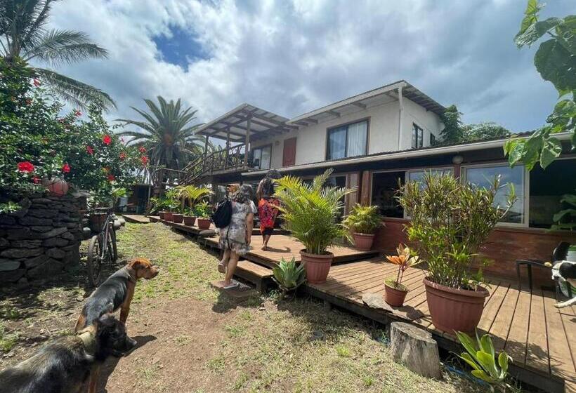 ペンション Hostal Vieroto