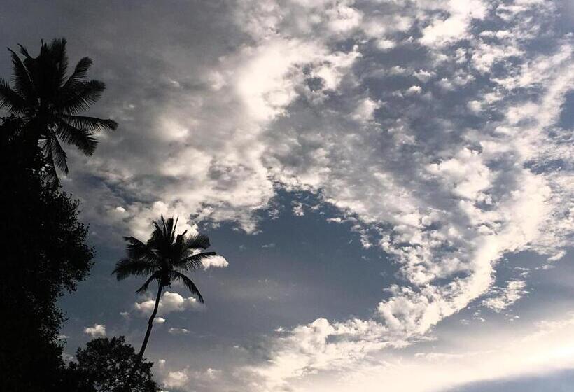 膳宿费 Kandy Citylights Residence