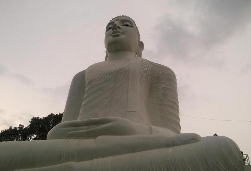 膳宿费 Kandy Citylights Residence