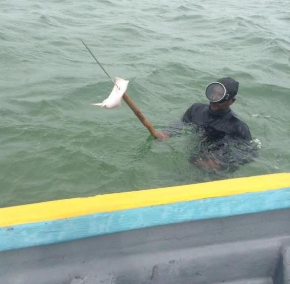 Пансион Nallur Residence