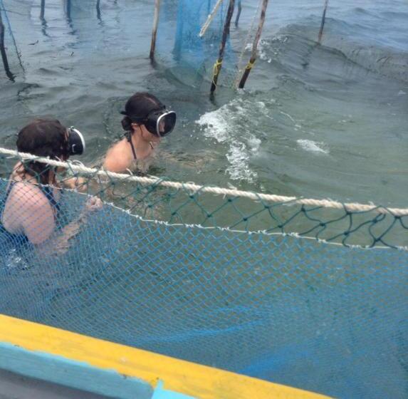 Пансион Nallur Residence