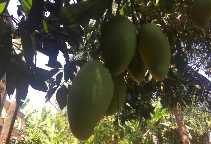 Пансион Nallur Residence