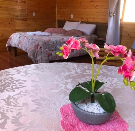 بنسيون Pousada Santa Terezinha