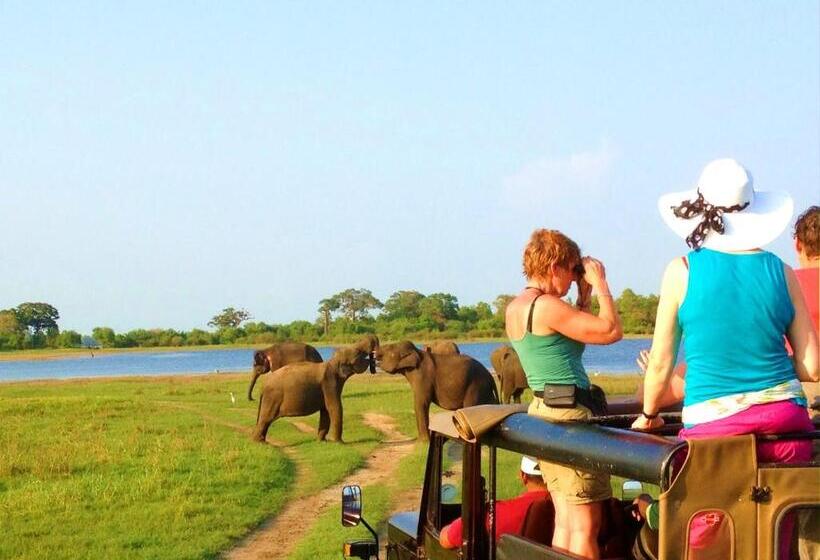 Пансион The Courtyard Villa