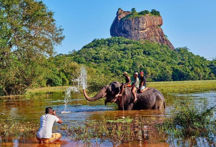 Пансион The Courtyard Villa