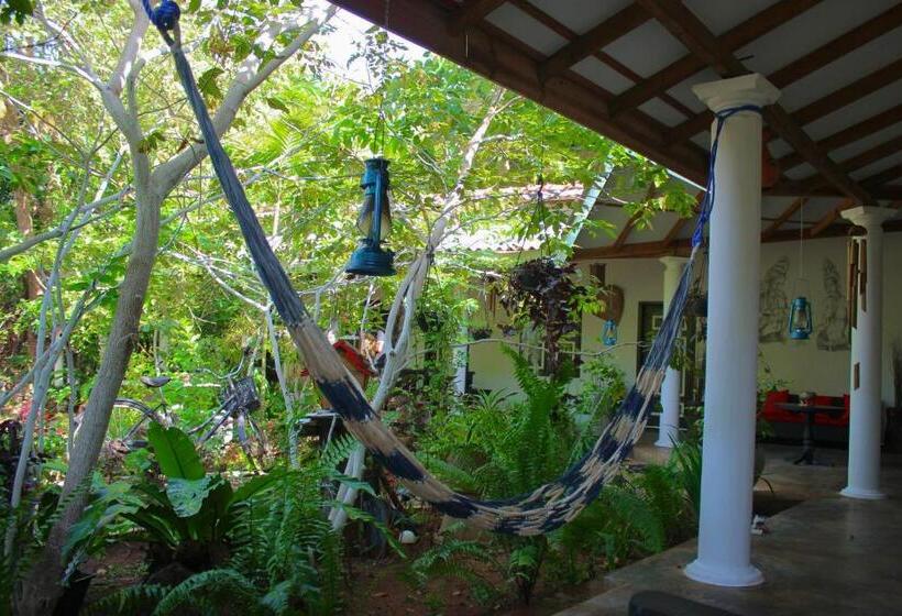 Пансион The Courtyard Villa