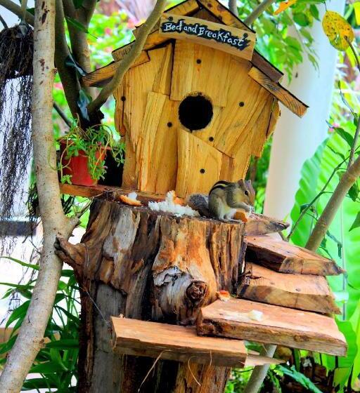 Пансион The Courtyard Villa