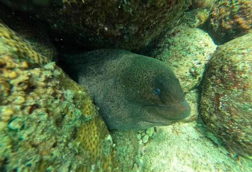 פנסיון Vibushan Guest House