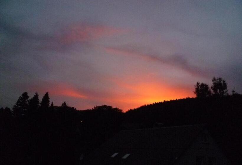 بنسيون Villa Plischke