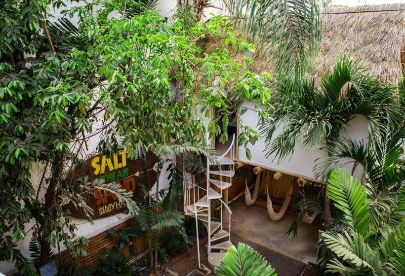 ユースホステル La Redonda Sayulita Hostal