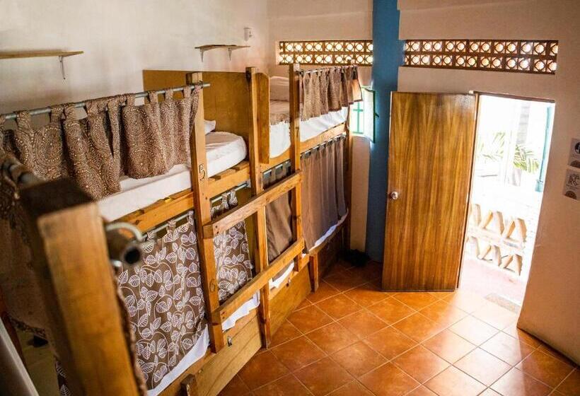 ユースホステル La Redonda Sayulita Hostal