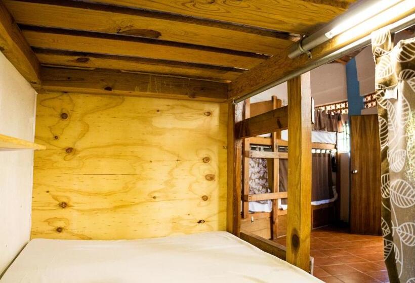 ユースホステル La Redonda Sayulita Hostal