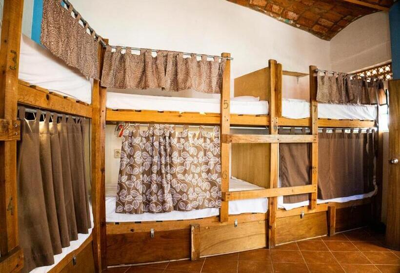 هاستل La Redonda Sayulita Hostal
