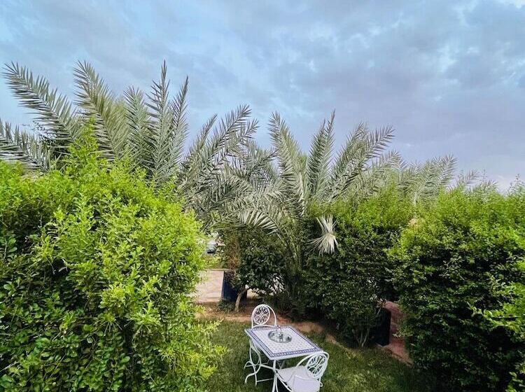 هاستل Paradis Touareg