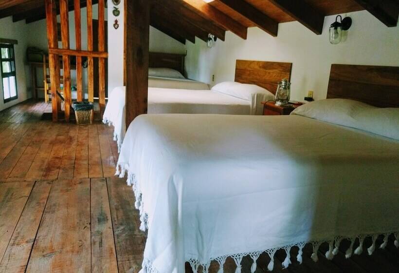 فندق صغير Posada La Vereda