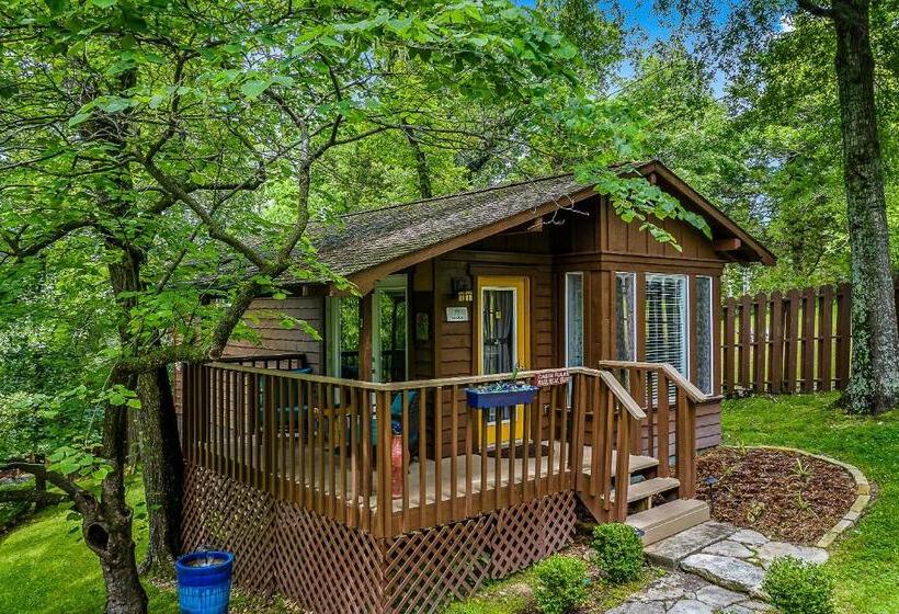 هاستل The Woods Cabins