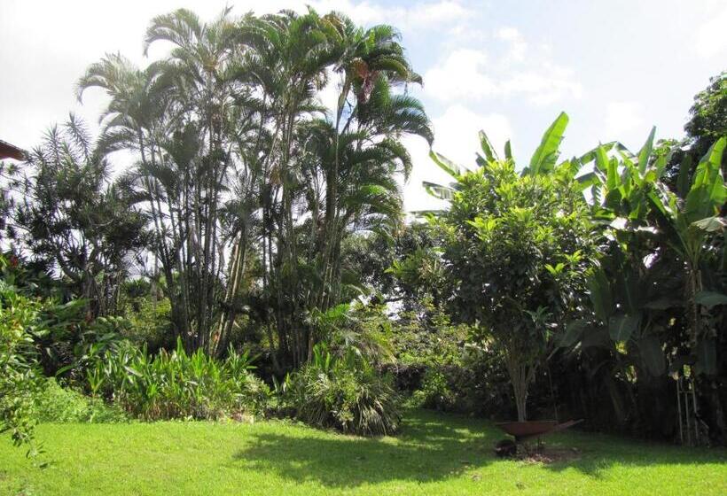 مبيت وإفطار Coffee Garden