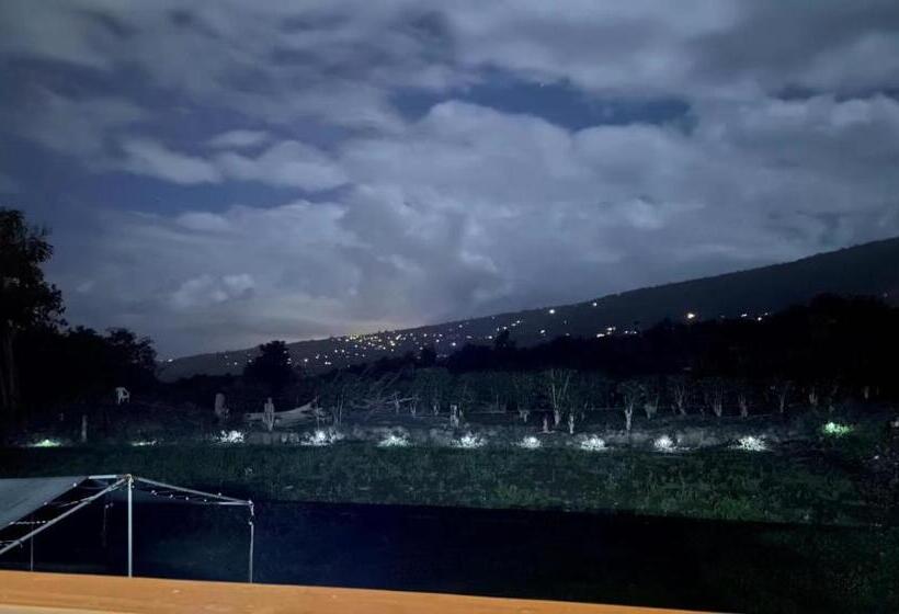 مبيت وإفطار Coffee Garden