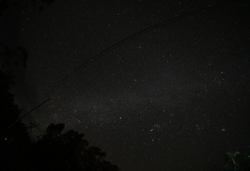 مبيت وإفطار Coffee Garden