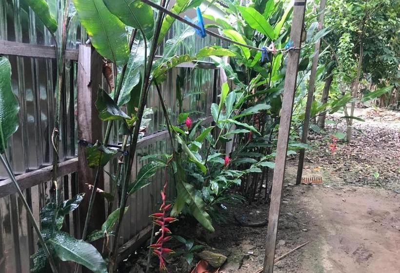 بنسيون Ayahuaska Backpackers House  Casa Completa En Alquiler