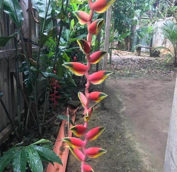 بنسيون Ayahuaska Backpackers House  Casa Completa En Alquiler
