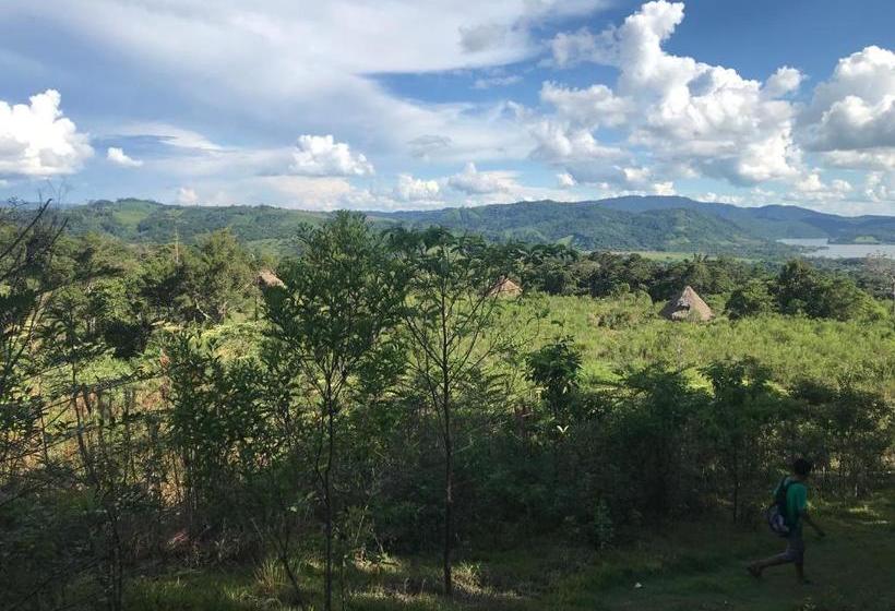 بنسيون Ayahuaska Backpackers House  Casa Completa En Alquiler