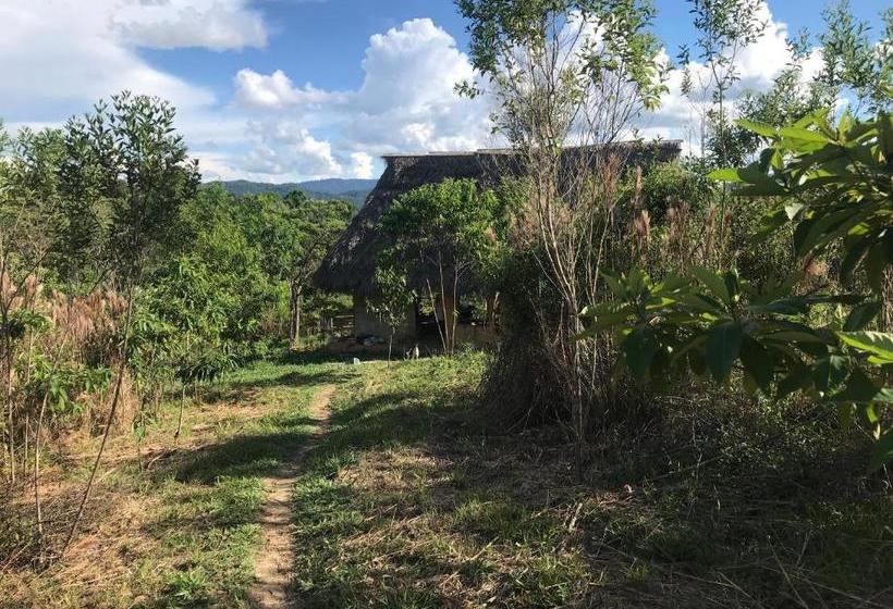 بنسيون Ayahuaska Backpackers House  Casa Completa En Alquiler