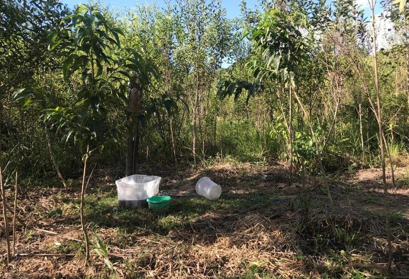 بنسيون Ayahuaska Backpackers House  Casa Completa En Alquiler